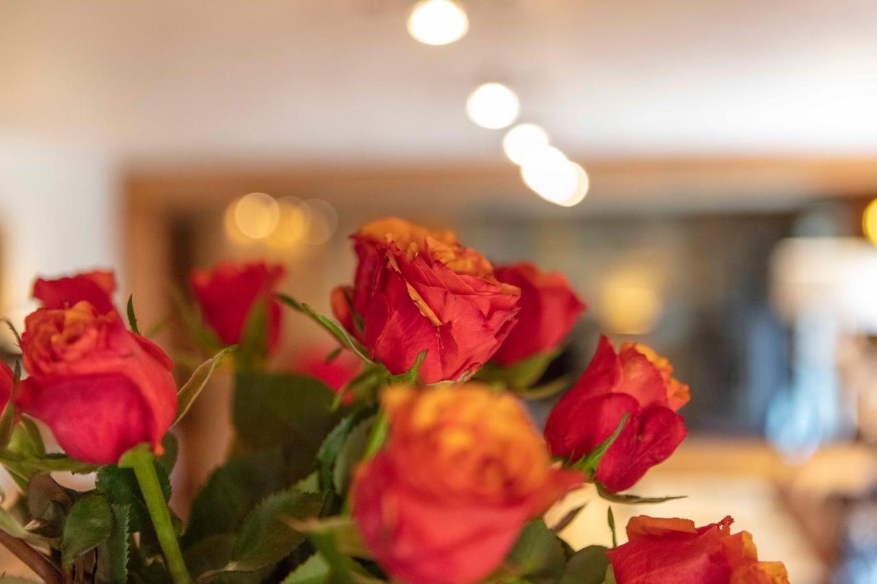 Appartement Marcella มงต์เฌอแนฟวร์ ภายนอก รูปภาพ